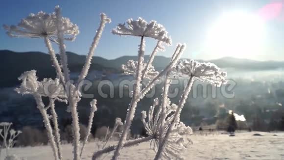 冬春阳山冰视频的预览图