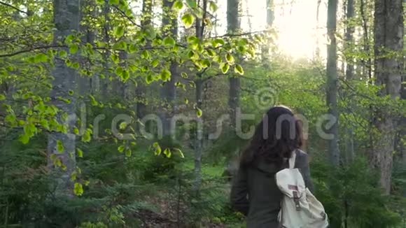 女孩游客在森林里散步视频的预览图