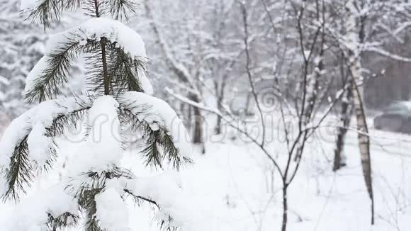 雪落在乡间的路上视频的预览图