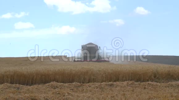 收割机收集小麦4k视频的预览图