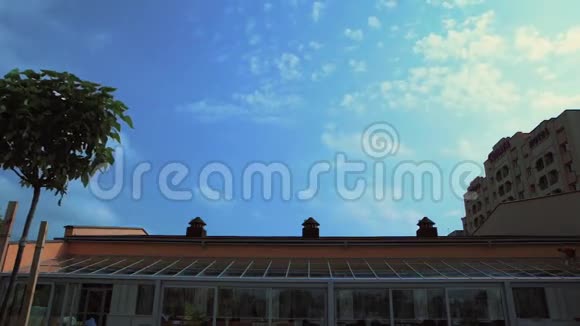 蓝天与云彩棕榈树的框架视频的预览图