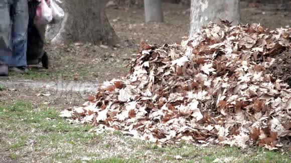 垃圾人清理秋叶视频的预览图