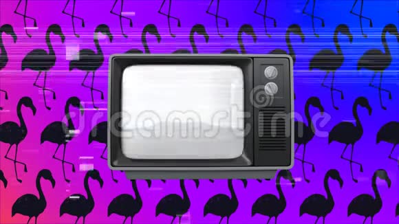 旧电视打开屏幕上有一个球背景是粉红色火烈鸟视频的预览图