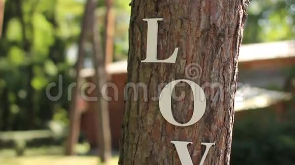 老式木制铭文树上的爱视频的预览图