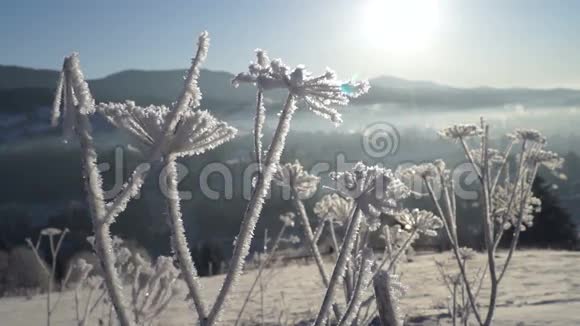 冬春阳山冰视频的预览图