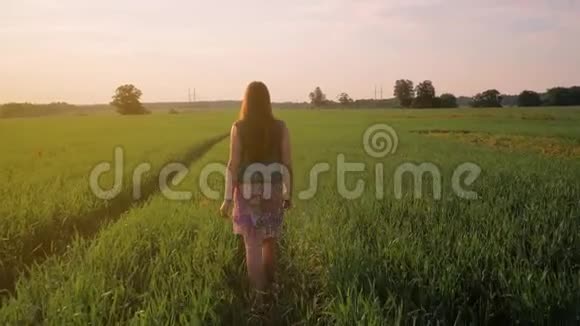 直发的年轻女孩正沿着一片绿色的田野走着夕阳西下中弹视频的预览图