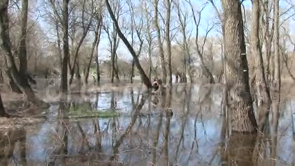 洪水中公园内的漂亮模特视频的预览图