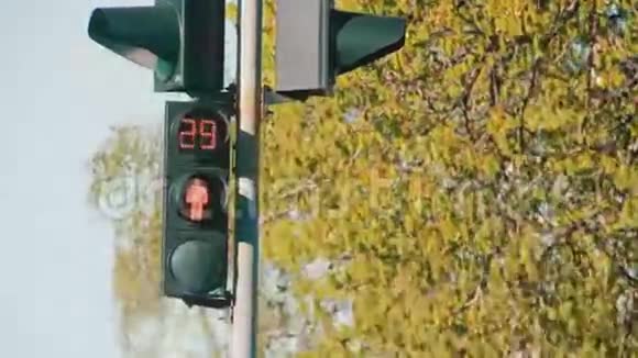十字路口的交通灯时间流逝视频的预览图