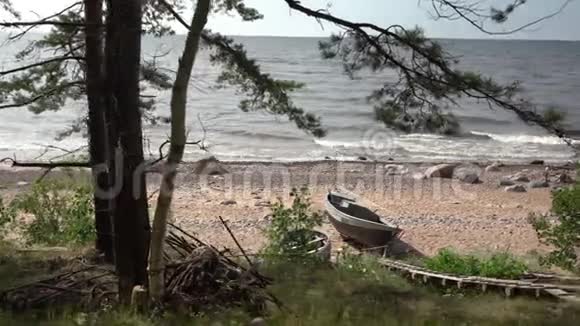 夏季波罗的海的高海岸视频的预览图