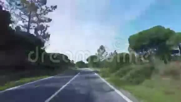 在森林的道路上快速行驶视频的预览图