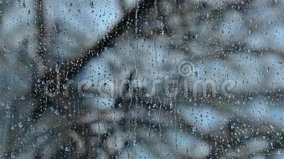 雨滴在窗户上一根树枝在摇动视频的预览图