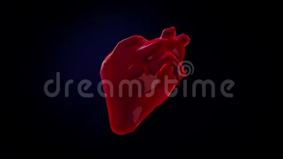 彩色的抽象三维模型在黑暗的背景下跳动的心脏动画人体解剖视频的预览图