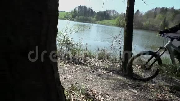 在湖边的一片森林里下山视频的预览图