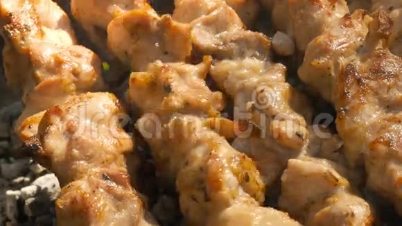 肉串上的鸡片烧煤和烧烤视频的预览图