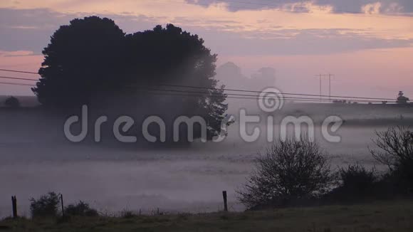 乡间田野早晨雾雾视频的预览图