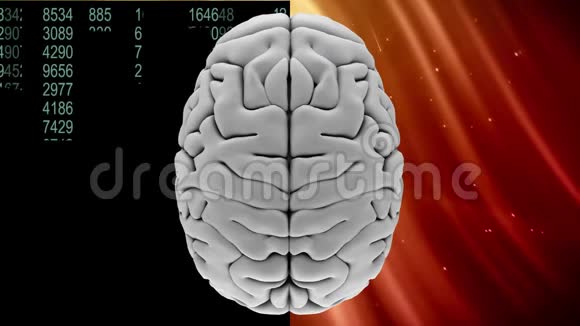一个灰色大脑顶部对二进制代码和恒星的动画视频的预览图