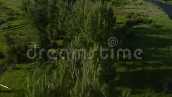 绿谷河和牧场的空中拍摄视频的预览图