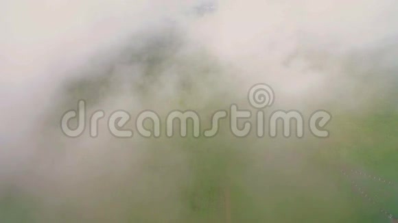 飞过云雾缭绕的森林视频的预览图