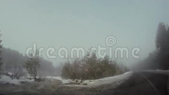 冬天天气不好汽车穿过树林视频的预览图