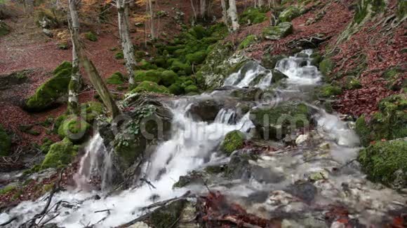 意大利阿布鲁佐国家公园的水源Tornareccia视频的预览图