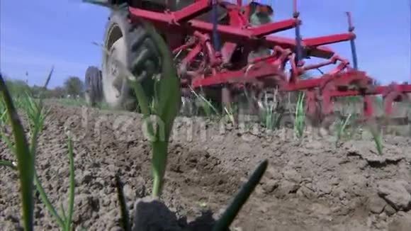 拖拉机耕种种植洋葱的土地视频的预览图
