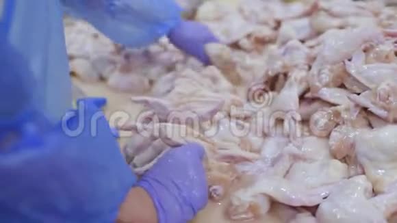 食品工业家禽加工厂视频的预览图