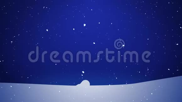 冬白生长的小树闪闪发光的天空视频的预览图