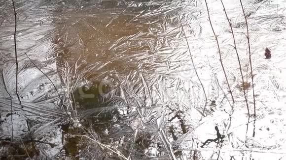 春天的木头被水淹没冻在冰下视频的预览图