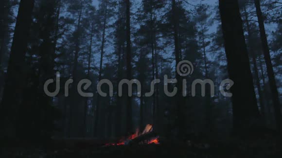 用木头烧火视频的预览图