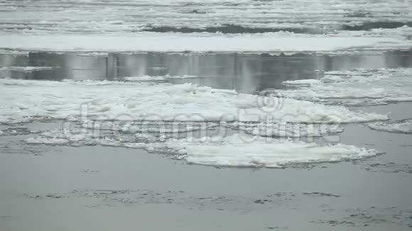 漂浮在河上的冰视频的预览图