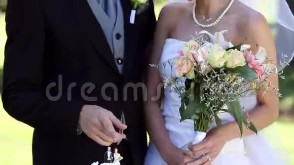 新婚夫妇幸福地站在结婚蛋糕旁边视频的预览图