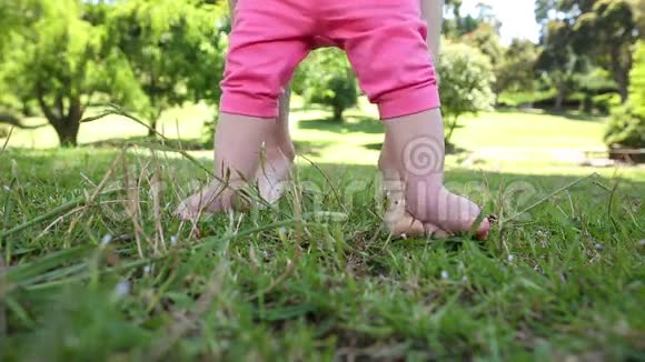 婴儿在母亲脚上踩草视频的预览图