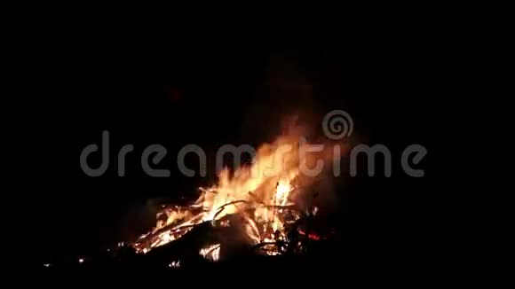 篝火晚会黑暗背景上的巨大火焰冷杉的声音巨大的篝火加速录像视频的预览图