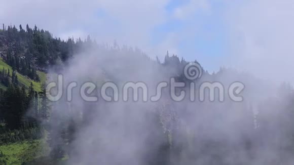 白云过山林视频的预览图