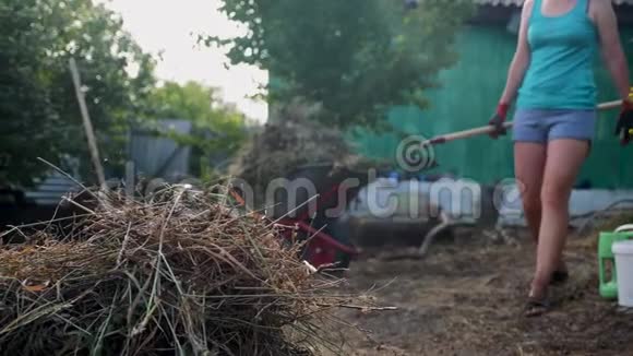 劳动男女园艺生活方式清洁草地园农业工作农民装载垃圾和草视频的预览图