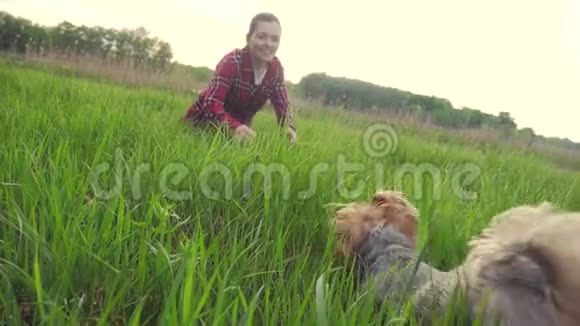 日落时分女孩和一只狗在大自然中玩耍生活方式的狗约克郡猎犬在大自然中玩接球视频的预览图