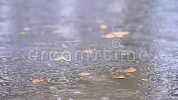雨水滴落在沥青上的水坑里淹没了街道雨季暴雨导致道路洪水缓行视频的预览图