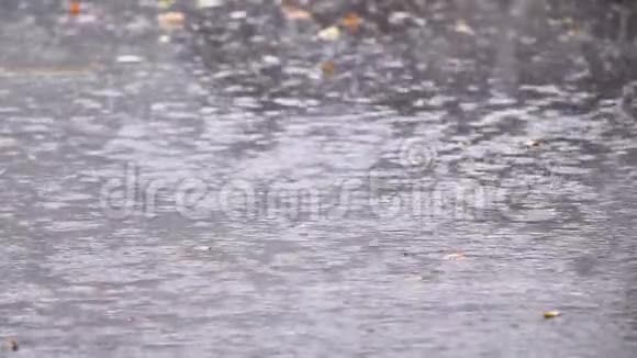 雨水滴落在沥青上的水坑里淹没了街道雨季暴雨导致道路洪水缓行视频的预览图
