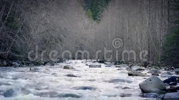 宽河穿过冬季森林视频的预览图