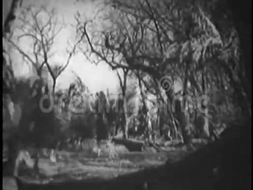 骑马的人在树林里跨过跨栏视频的预览图