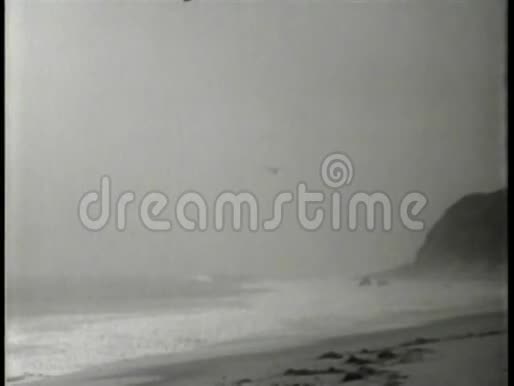 小飞机在雾中降落在海滩上视频的预览图
