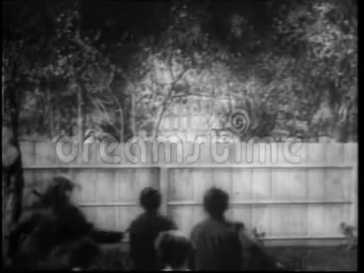 儿童透过木栅栏观看的后景视频的预览图