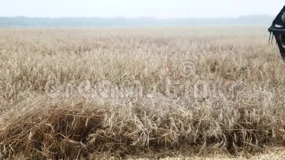 收割小麦的庄稼很快就要结束了视频的预览图