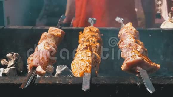 在大自然的烤架上煮的什什烤串街头美食烤肉串上烤肉视频的预览图