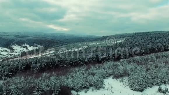 风踏着雪的脚步穿过冬林视频的预览图