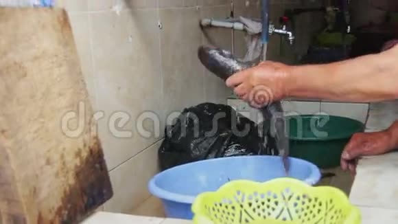 清洁鱼用水龙头冲洗鱼水视频的预览图