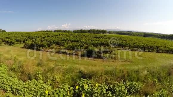 飞越法国的一个葡萄园视频的预览图