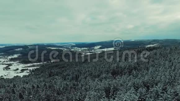 风踏着雪的脚步穿过冬林视频的预览图