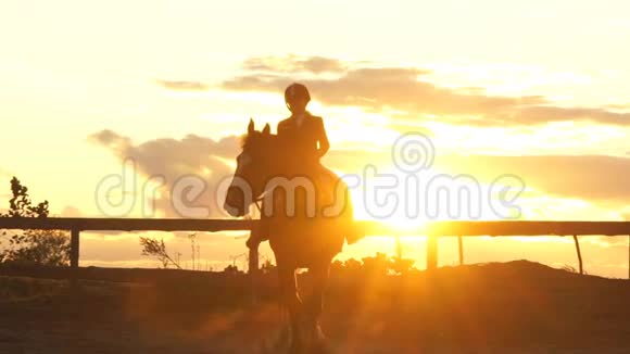 日落时骑马年轻的骑师勇敢的骑马女孩视频的预览图