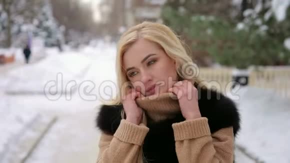 冬天公园里穿毛皮大衣的女孩的肖像视频的预览图